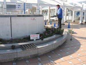 水族館植替え29.02.01 005