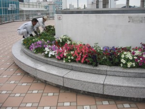 富浜 植替え28.07.06 019