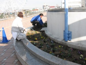 水族館植替え29.02.01 007