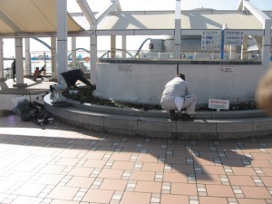 水族館植替え29.02.01 014
