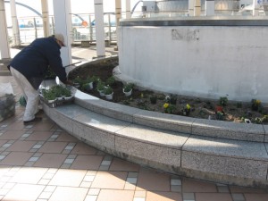 水族館植替え29.02.01 006