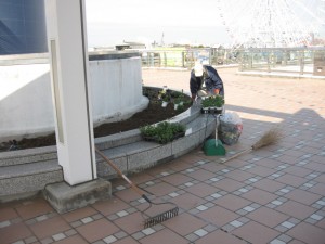 水族館植替え29.02.01 002