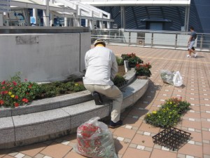 水族館植替 010