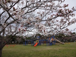 DSC04332[1]