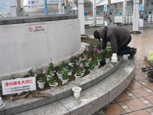 水族館植替え 025