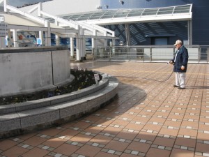 水族館植替え 032