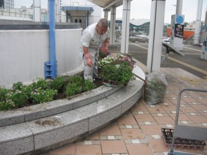 富浜 植替え28.07.06 017