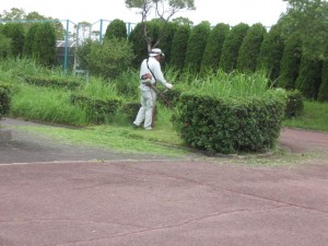 安全 富浜 遊具 楠南 050