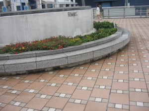 富浜 植替え28.07.06 031