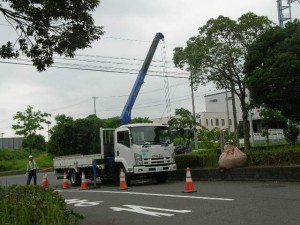 富浜緑地-1