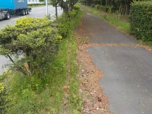 kusunokiryokuchi5