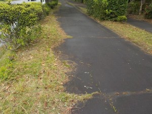 kusunokiryokuchi6