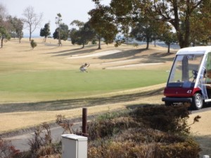 s_DSC02433[1]