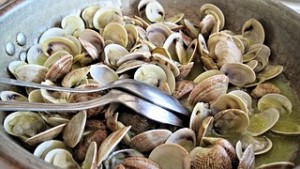 steamed-clams-603110__180